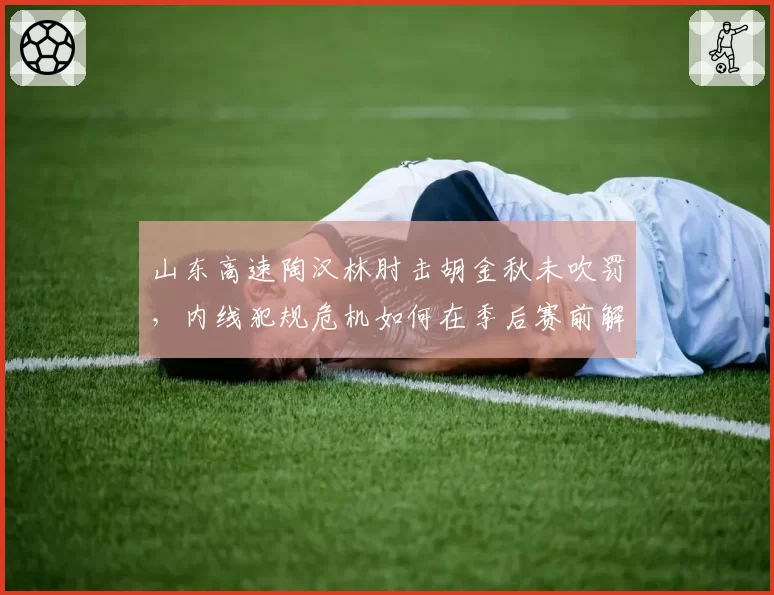 山东高速陶汉林肘击胡金秋未吹罚，内线犯规危机如何在季后赛前解决？