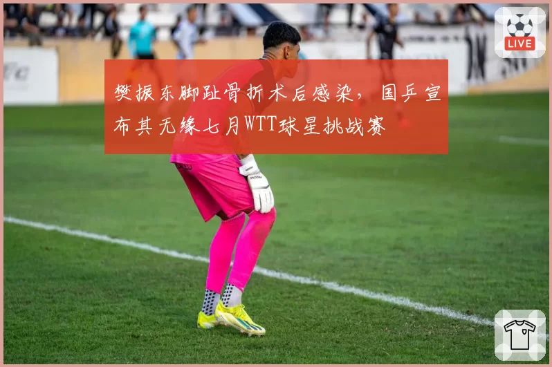 樊振东脚趾骨折术后感染，国乒宣布其无缘七月WTT球星挑战赛