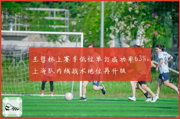 王哲林上赛季低位单打成功率63%,上海队内线战术地位再升级