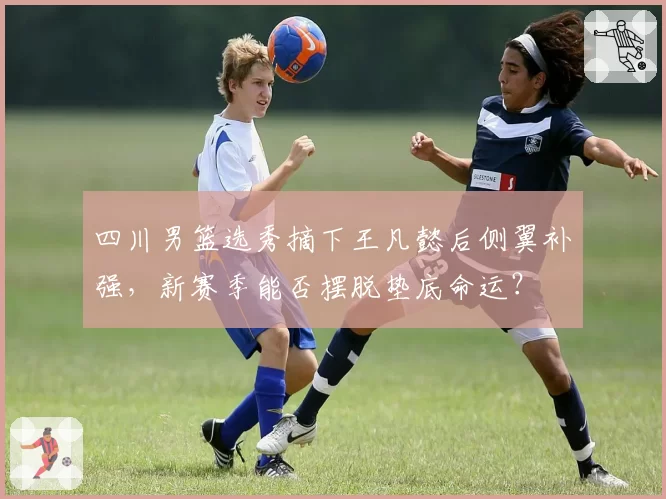 四川男篮选秀摘下王凡懿后侧翼补强，新赛季能否摆脱垫底命运？