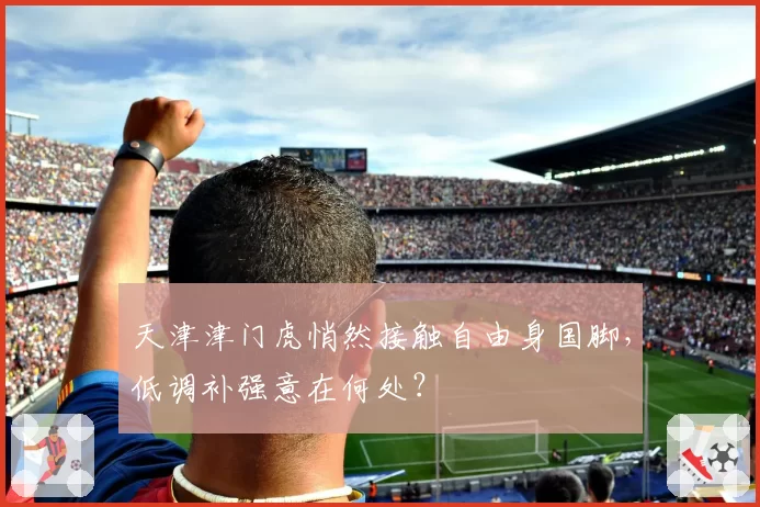 天津津门虎悄然接触自由身国脚，低调补强意在何处？