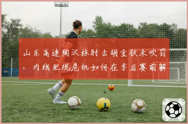 山东高速陶汉林肘击胡金秋未吹罚，内线犯规危机如何在季后赛前解决？
